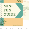 Mini Fun Guide