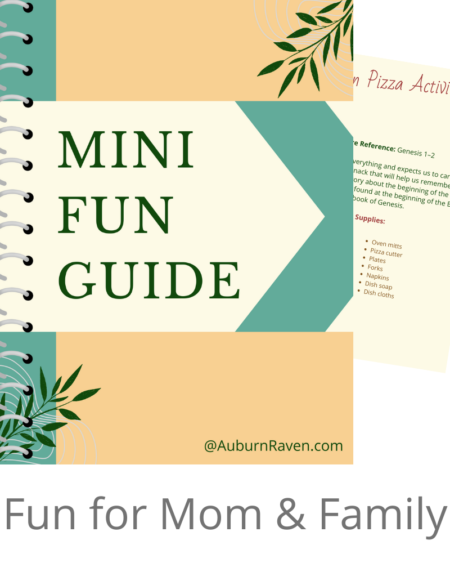 Mini Fun Guide