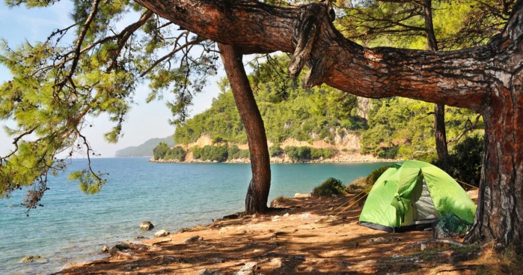 Family Camping Fun