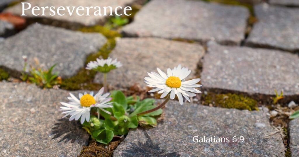 Perseverance Galatians 6 :9